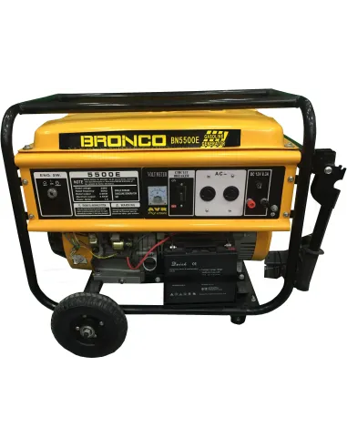 Bronco Gasoline Generator BN5500 4K.W - CHN