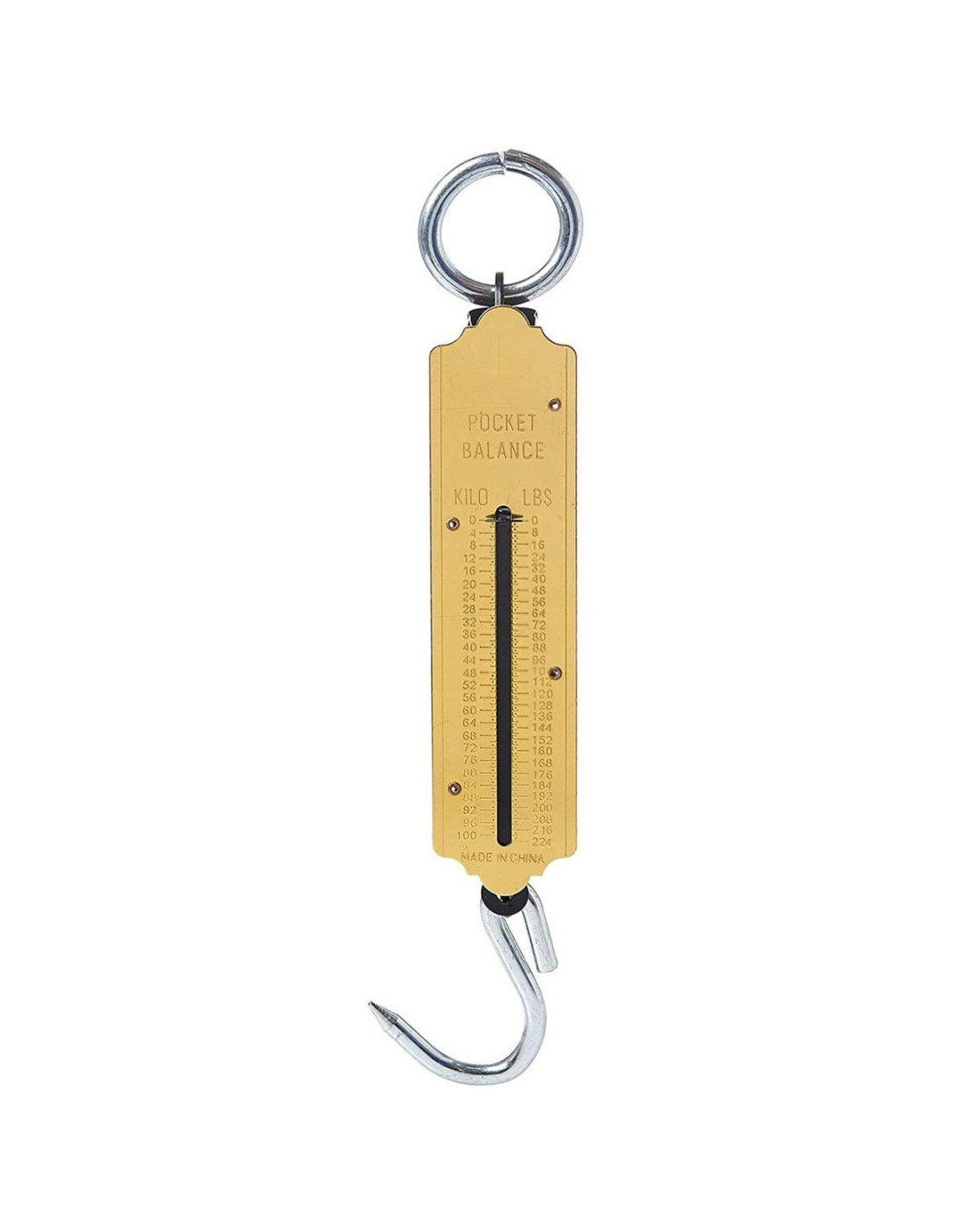 DHG002 SPRING SCALE 100 KG